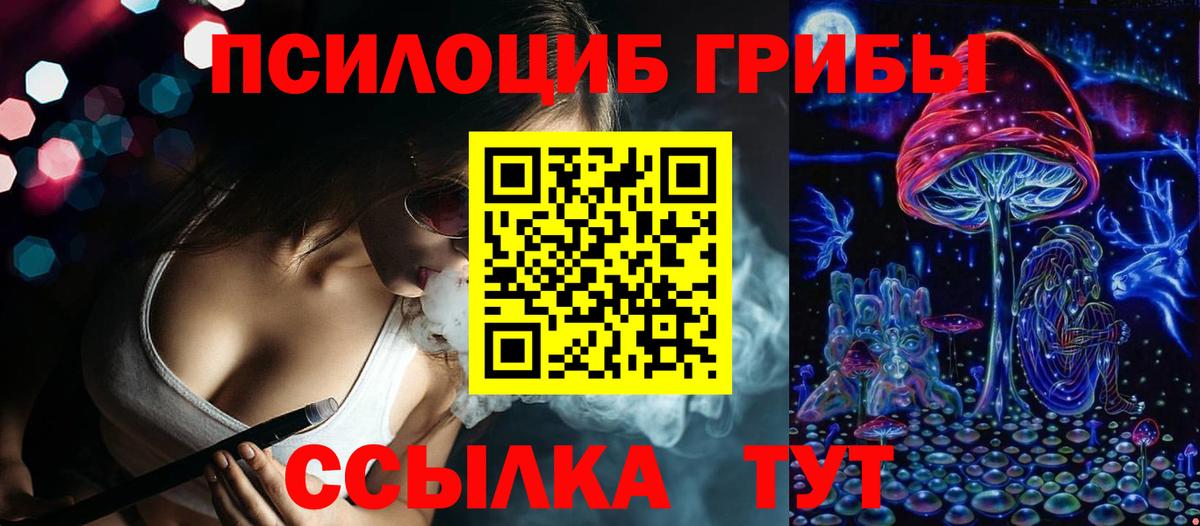 Новый Уренгой  Галлюциногенные грибы Psilocybe  Вход с VPN 